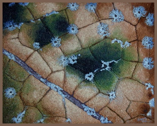 033_Birke-2_60x75